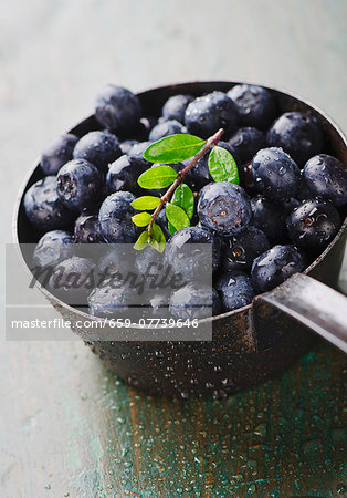 Freshly washed blueberries in a saucepan