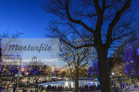 Frog Pond in Boston Common with holiday lighting, Boston, Massachusetts, USA