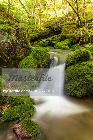 Close up of a small forest stream near Third Vault Falls (Fundy National Park, New Brunswick, Canada)