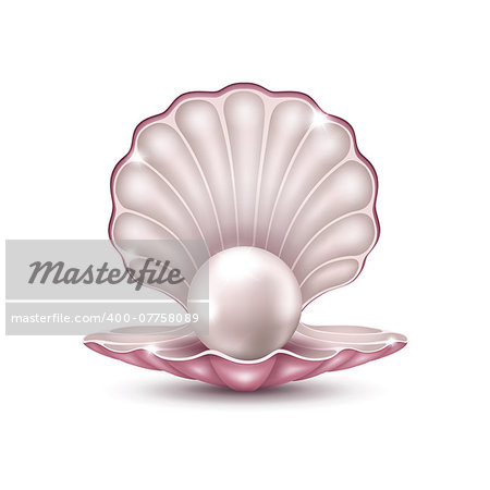 Vector illustration of a beautiful pearl in a shell on a white background