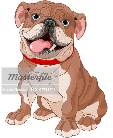 Illustration of cute English bulldog