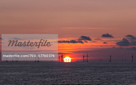 Offshore Wind Farm at Sunset, near Barrow-in-Furness, Cumbria, England