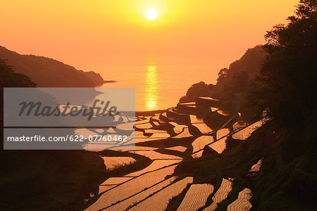 Terraced Rice Field, Japan