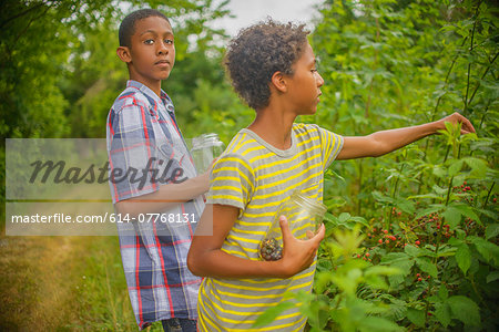 Boys picking berries