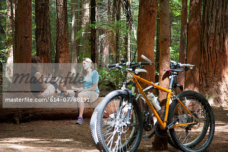 Two women mountain bikers chatting on tree trunk in forest