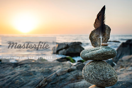 Still life of rocks and feather on beach