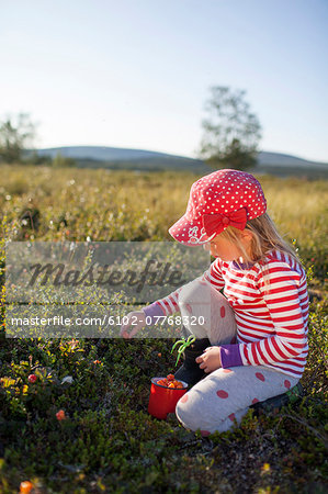 Girl picking cloudberries, Kiruna, Lapland, Sweden