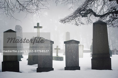 Graveyard in winter fog Graveyard in winter fog