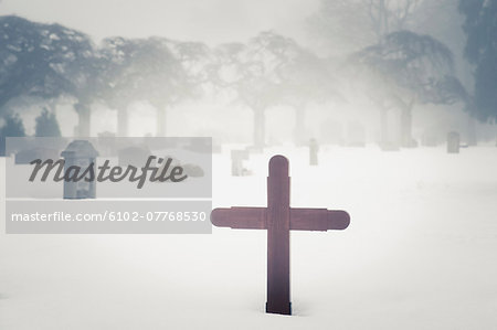 Graveyard in winter fog