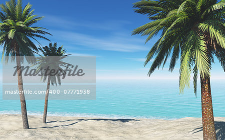 tropical beach with palms