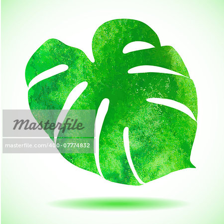 Watercolor leaf of tropical plant - Monstera.. Also available as a Vector in Adobe illustrator EPS format, compressed in a zip file. The vector version be scaled to any size without loss of quality.