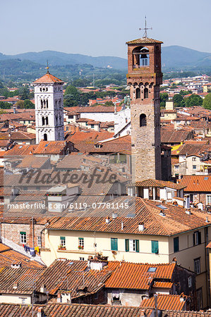 Roofscape as seen from Torre Guinigi, with the Torre delle Ore on the right, Lucca, Tuscany, Italy, Europe