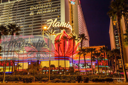 Neon lights, Las Vegas Strip at dusk with Flamingo Facade and palm trees, Las Vegas, Nevada, United States of America, North America