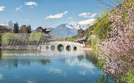 Moon Embracing Pavilion and Suocui Bridge at Black Dragon Pool in Jade Spring Park, Lijiang, Yunnan, China, Asia