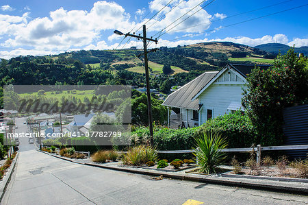 Baldwin Street, the world's steepest residential street, Dunedin, Otago, South Island, New Zealand, Pacific