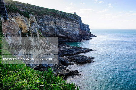 Steep cliffs at Taiaroa Head, Otago Peninsula, South Island, New Zealand, Pacific