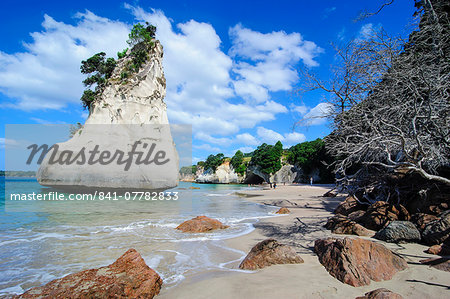 Giant rock on the sandy beach of Cathedral Cove, Coromandel, North Island, New Zealand, Pacific Giant rock on the sandy beach of Cathedral Cove, Coromandel, North Island, New Zealand, Pacific