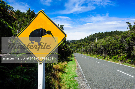 Kiwi warning sign along the road between Fox Glacier and Greymouth, South Island, New Zealand, Pacific