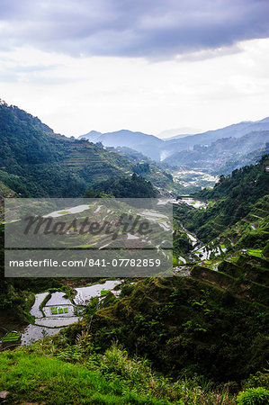 The rice terraces of Banaue, UNESCO World Heritage Site, Northern Luzon, Philippines, Southeast Asia, Asia