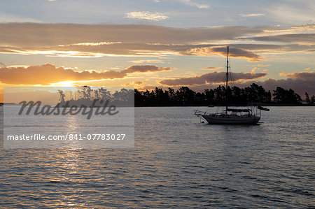 Sunset over Haulashore Island, Nelson, Nelson region, South Island, New Zealand, Pacific