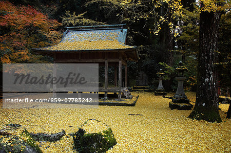 Kyoto, Japan