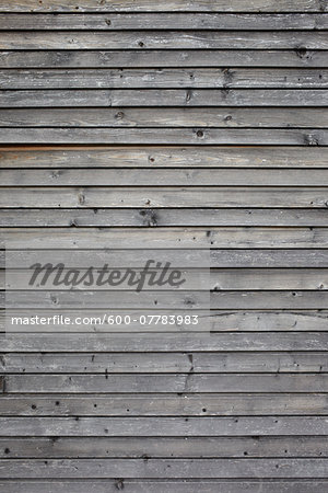 Close-up of Wooden Wall