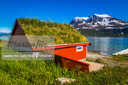 Fishermen's Hut with Grass Roof, Kvaloya Island, Tromso, Norway Fishermen's Hut with Grass Roof, Kvaloya Island, Tromso, Norway