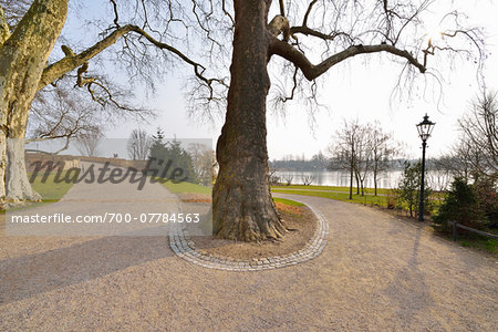 Forked Path in Castle Garden, Schwerin, Western Pomerania, Mecklenburg-Vorpommern, Germany