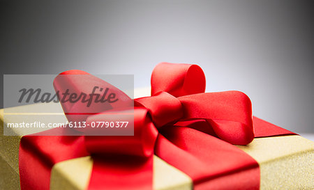 Close up of bow on wrapped gift