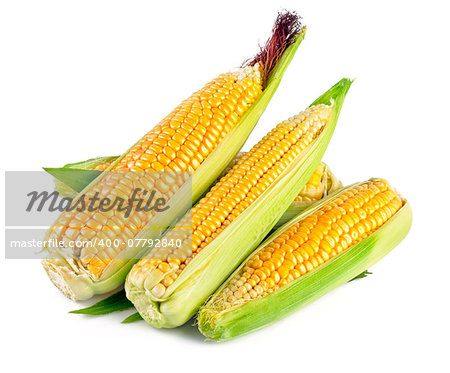 Fresh corn with green leaf. Isolated on white background