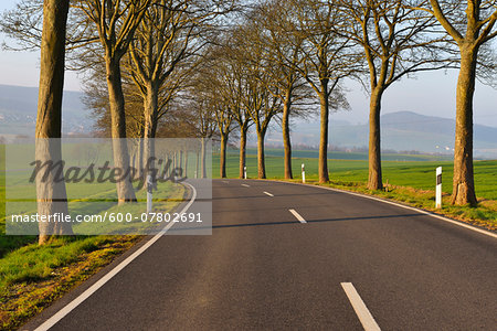Country road in the morning, Echte, Kalefeld, Harz, Lower Saxony, Germany Country road in the morning, Echte, Kalefeld, Harz, Lower Saxony, Germany