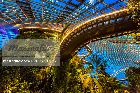 Cloud Forest conservatory, Gardens by the Bay, Singapore