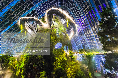 Cloud Forest conservatory, Gardens by the Bay, Singapore