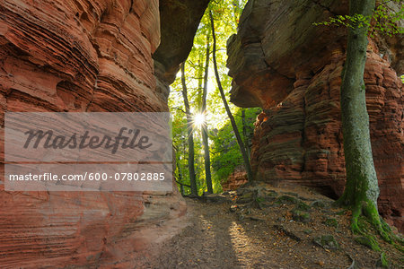 Sandstone Rock Formation with Sun, Altschlossfelsen, Eppenbrunn, Pfalzerwald, Rhineland-Palatinate, Germany