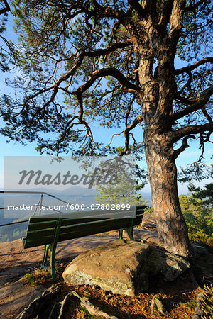 Observation Point on Mountain with Bench, Hochstein, Dahn, Dahner Felsenland, Pfalzerwald, Rhineland-Palatinate, Germany