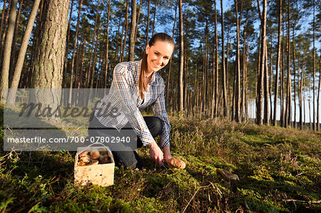 Portrait of Young Woman Collecting Mushrooms in Scots Pine (Pinus sylvestris) Forest in Early Autumn, Bavaria, Germany