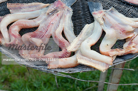 Close-up of fish drying in the sun, Cambodia, Indochina, Southeast Asia, Asia