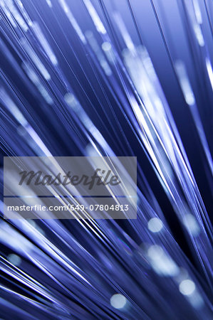 Abstract close up of illuminated fiber optic light
