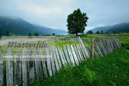 Fence in misty valley, Mazeri village, Svaneti, Georgia