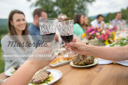 Family and friends making a toast at outdoor meal