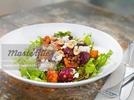 Lentil Salad with Greens, Beets, Feta Cheese, Hazelnuts and Sweet Potato, Studio Shot