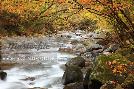 Yamanashi Prefecture, Japan