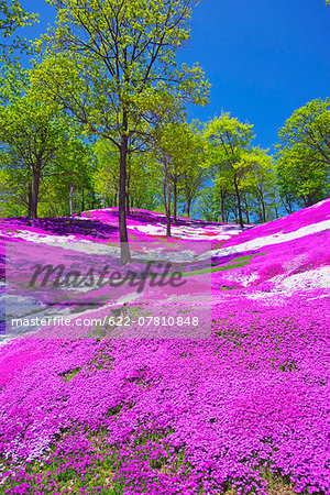 Hokkaido, Japan