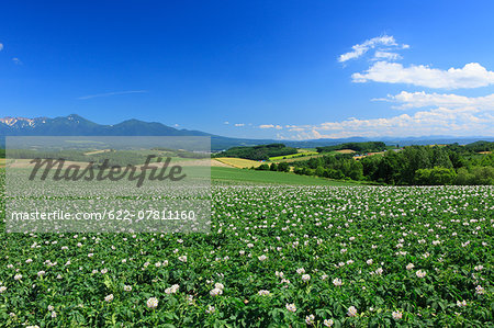 Hokkaido, Japan