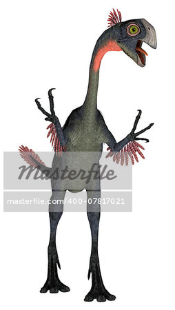 3D digital render of a dinosaur gigantoraptor isolated on white background