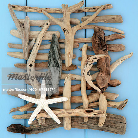 Starfish shell and driftwood abstract on a wooden blue background.