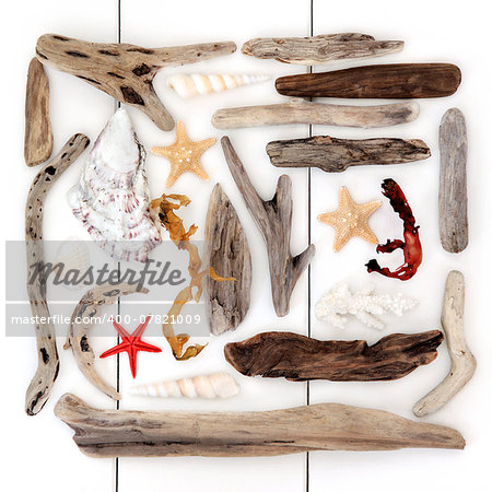 Shell and driftwood abstract collage over wooden white background.