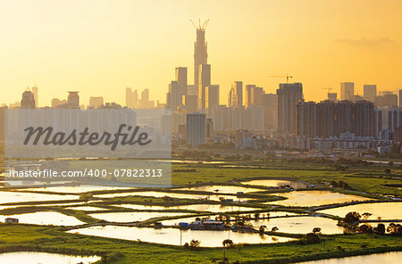 sunset in hong kong countryside, rice field and modern office buildings