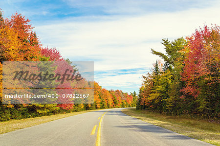 Road to Keji in fall (Kejimkujik National Park, Nova Scotia, Canada)