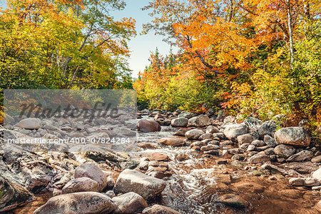 Foreat stream in the fall (Above Mary Ann Falls, Highlands National Park, Cape Breton, Nova Scotia, Canada)